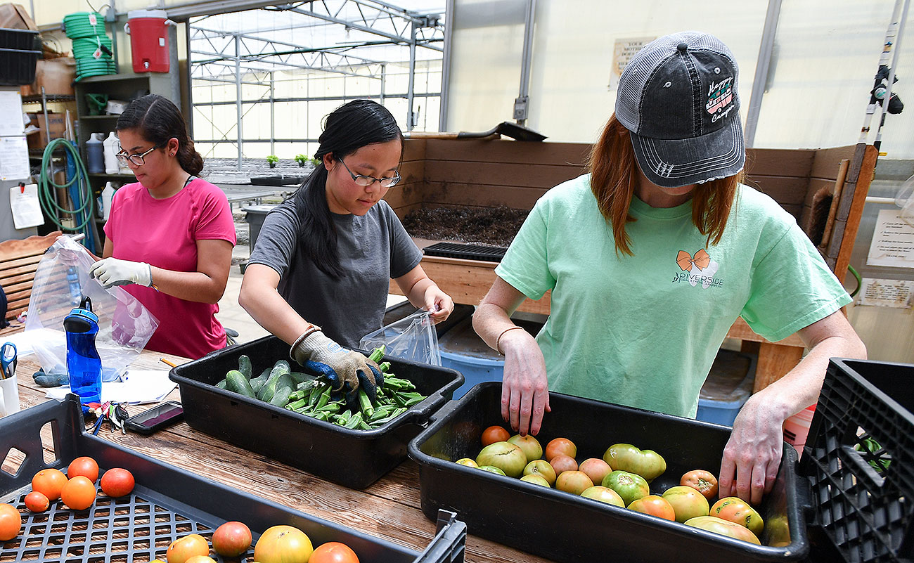 Student farming enterprises 