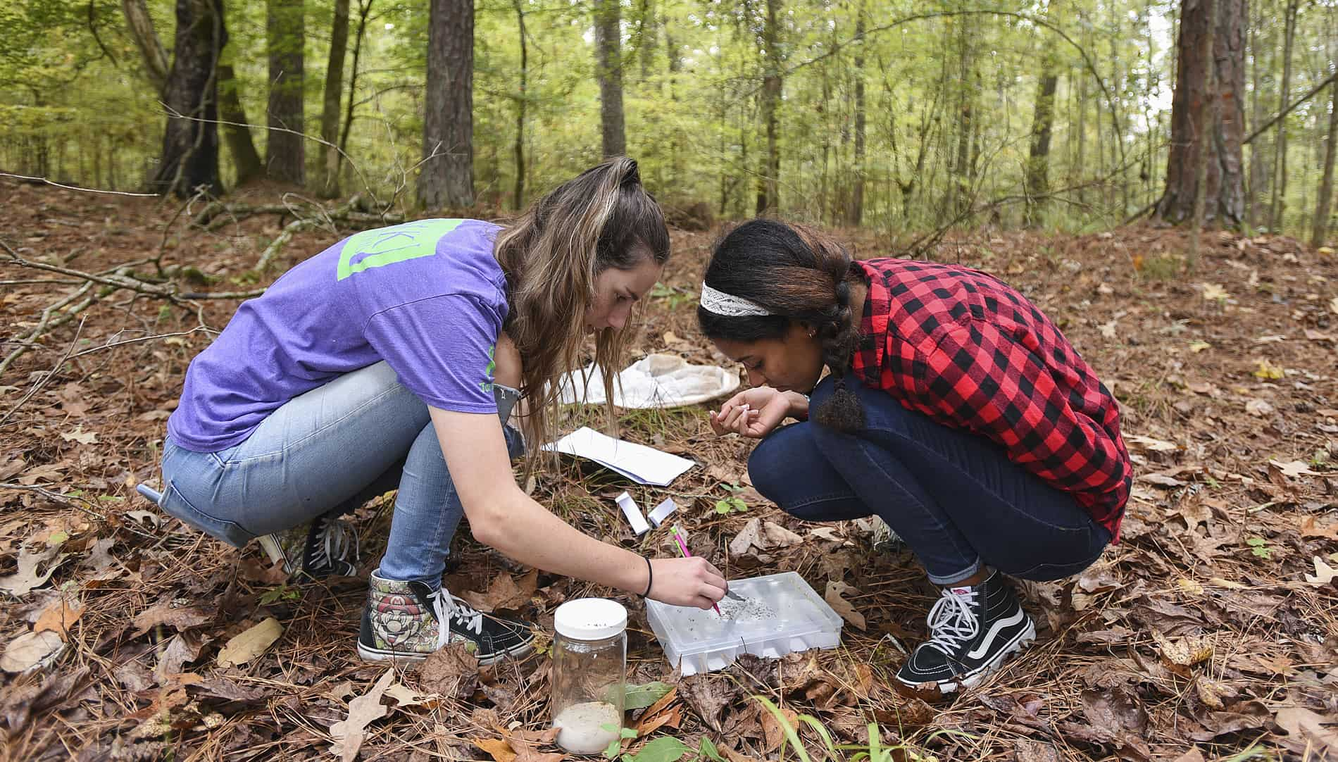 Berry named ‘Green College’ by The Princeton Review