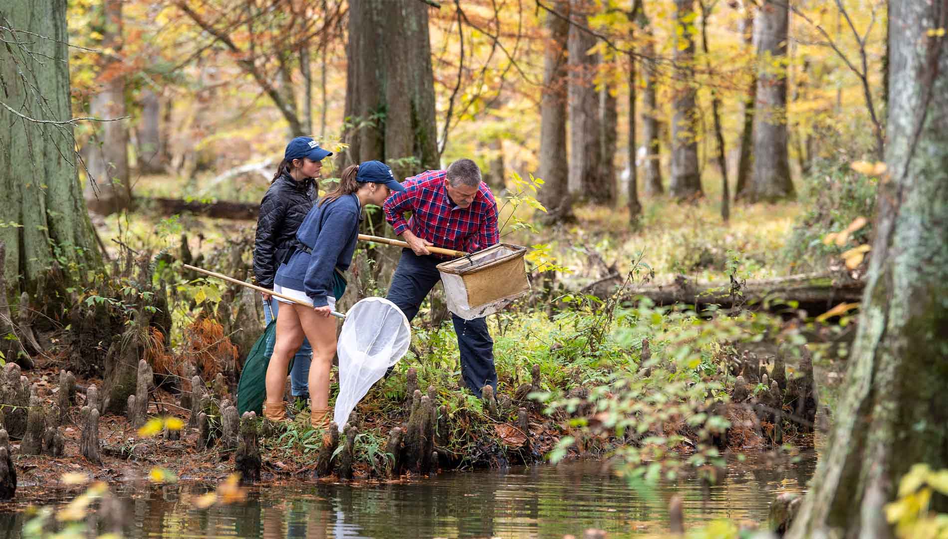 Professor Bruce Conn with students looking items in a net beside a creek